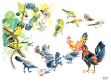 Load image into Gallery viewer, Birds of O'ahu, a fine art print on paper