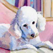 Load image into Gallery viewer, No. 523 Poodle reading on a pink chaise lounge, a fine art print on paper
