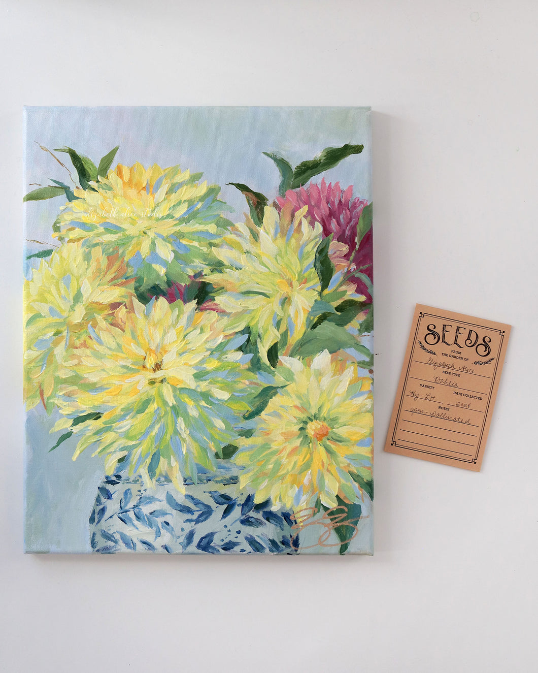 No. 402 Yellow Dahlias, 11 x 14 + dahlia seeds