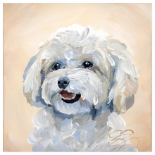 Load image into Gallery viewer, Maltese/Maltipoo, a fine art print on paper
