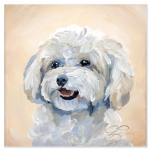 Load image into Gallery viewer, Maltese/Maltipoo, a fine art print on paper
