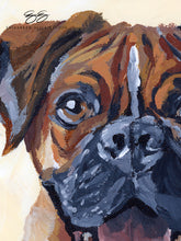 Load image into Gallery viewer, Boxer canvas wrap, available framed

