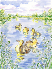 Load image into Gallery viewer, Baby Farm Animals: Ducks, a fine art print on paper
