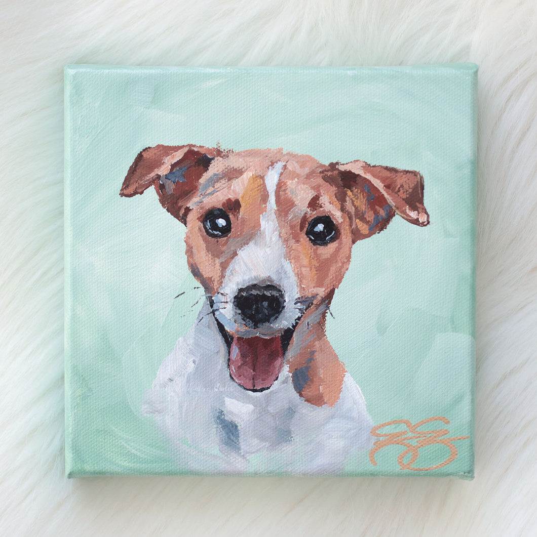 Jack Russel Terrier - 6 x 6