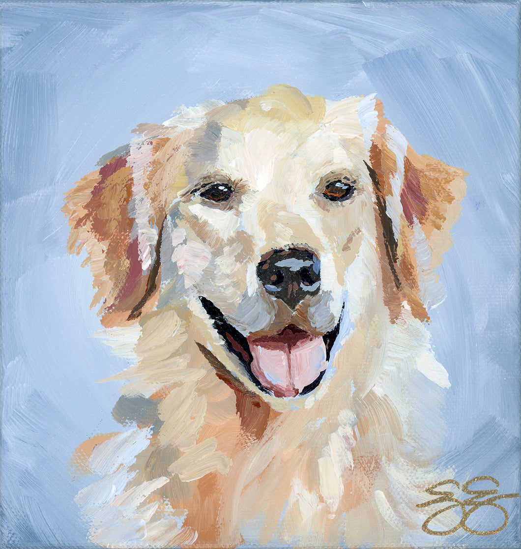Golden Retriever, a fine art print on paper