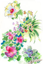 Load image into Gallery viewer, Flowers of Hawai'i, a fine art print on paper
