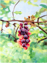 Load image into Gallery viewer, No. 537 "Sunlight's Notes," original oil painting of grapes ripening on the vine - 18 x 24 inches with FREE frame
