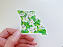 Load image into Gallery viewer, Missouri Hawthorn, state flower watercolor sticker
