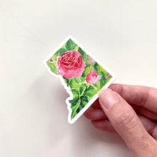 Load image into Gallery viewer, Washington, D.C. American Beauty Rose, official flower watercolor sticker
