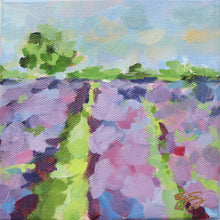 Load image into Gallery viewer, No. 153 Lavender Fields No. 1, a fine art print on paper
