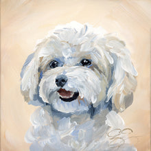 Load image into Gallery viewer, Maltese/Maltipoo, a fine art print on paper
