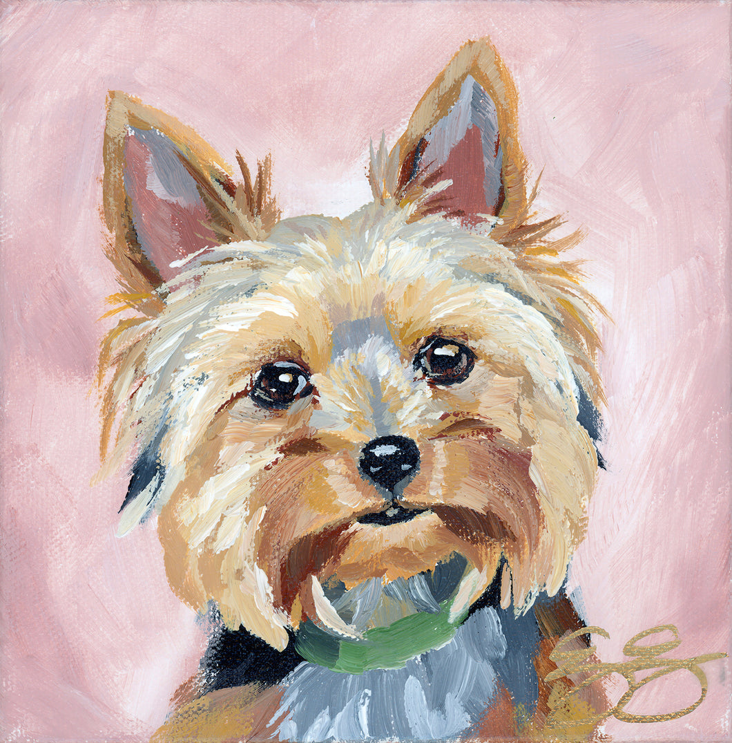 Yorkie, a fine art print on paper