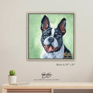 Boston Terrier canvas wrap, available framed
