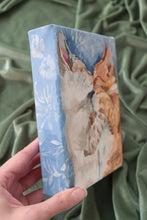 Load image into Gallery viewer, Cats sleeping nose to nose - 5 x 7
