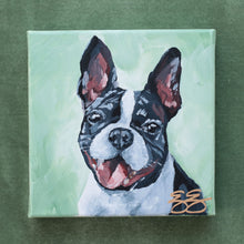 Load image into Gallery viewer, Boston Terrier - 6 x 6 original painting
