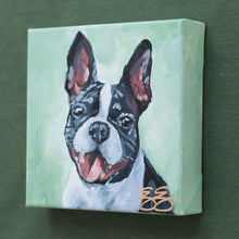 Load image into Gallery viewer, Boston Terrier - 6 x 6 original painting
