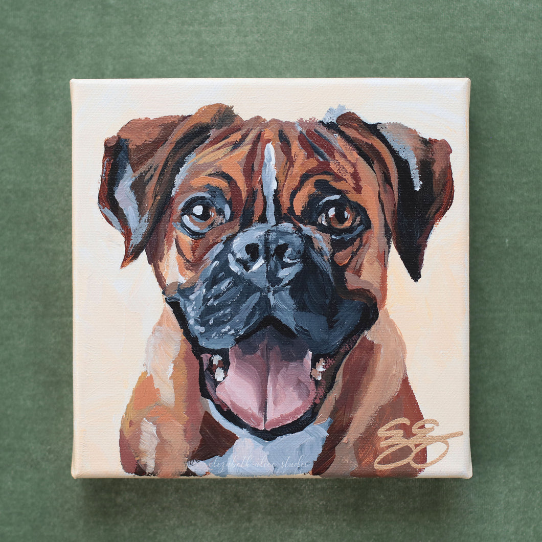 Boxer - 6 x 6 original painting