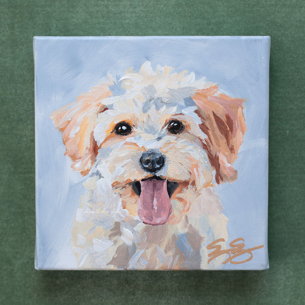 Doodle, light gold - 6 x 6 original painting