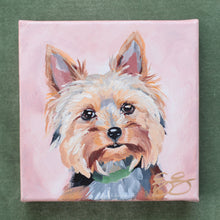 Load image into Gallery viewer, Yorkie - 6 x 6 original painting
