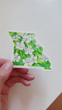 Load and play video in Gallery viewer, Missouri Hawthorn, state flower watercolor sticker
