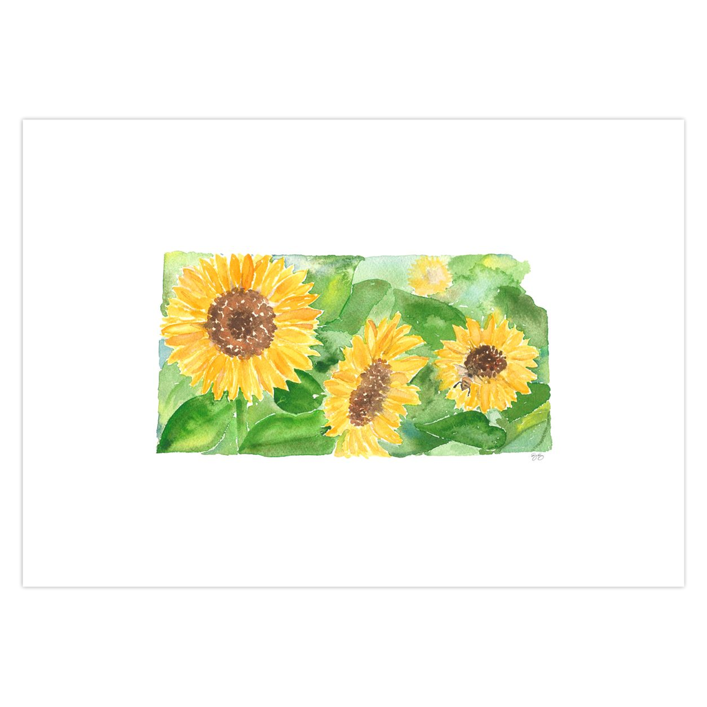 Kansas Sunflower note card set