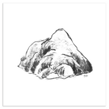 Load image into Gallery viewer, Chinese Painting No. 17
