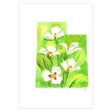 Load image into Gallery viewer, Utah Sego Lily note card set
