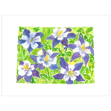 Load image into Gallery viewer, Colorado Columbine fine art print
