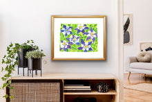 Load image into Gallery viewer, Colorado Columbine fine art print
