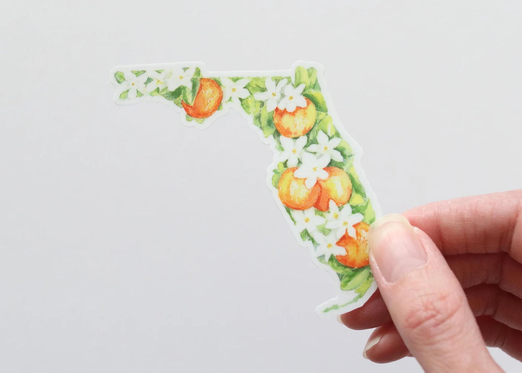 Florida orange blossom, state flower watercolor sticker