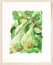 Load image into Gallery viewer, Pears - 8 x 10

