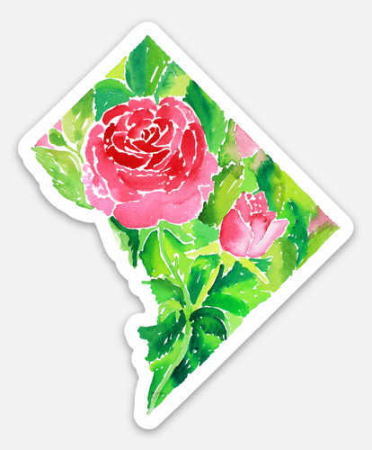 Washington D.C. DC american beauty rose official city flower state flower sticker watercolor by Elizabeth Alice Studio