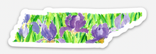 Load image into Gallery viewer, Tennessee Iris purple state flower sticker watercolor by Elizabeth Alice Studio
