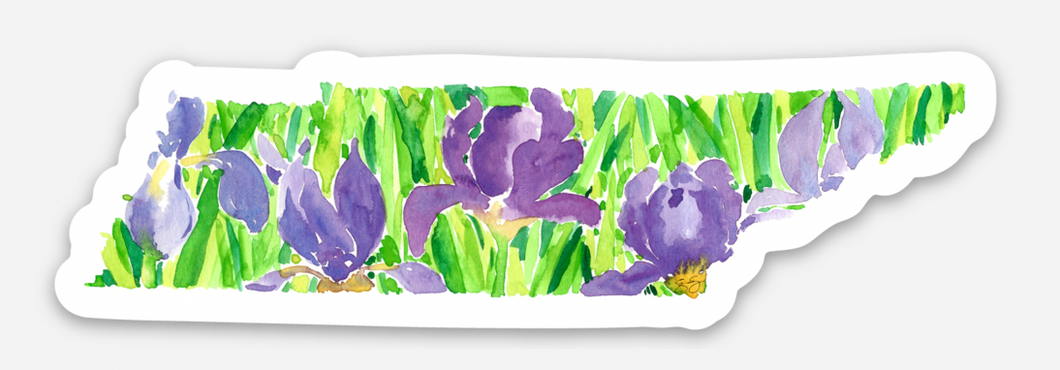 Tennessee Iris purple state flower sticker watercolor by Elizabeth Alice Studio