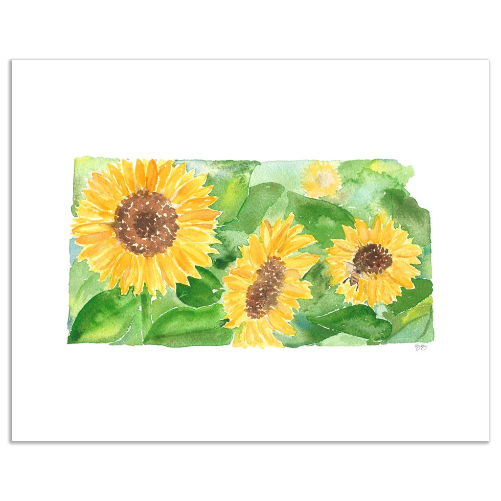 Kansas Sunflower fine art print